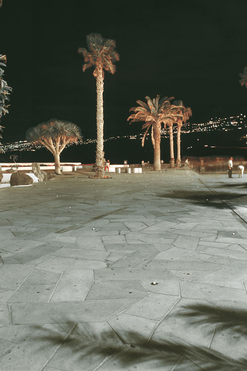Vista nocturna del paseo de Colón